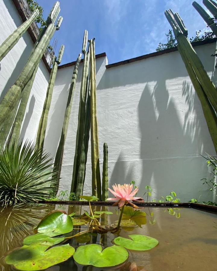 Casa Mayo B&B Oaxaca Exterior foto